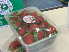 -PAGODA百果园(湛江城市美林店)