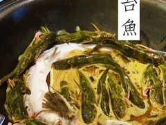 大嘎鱼-荣德灶台鱼(圣泉寺店)