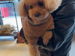 -美联众合动物医院·24h京西诊疗中心