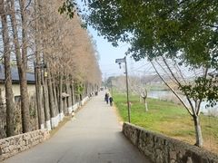-乌村
