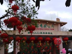 -广东茂名森林公园