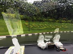 -圣淘沙天际线斜坡滑车