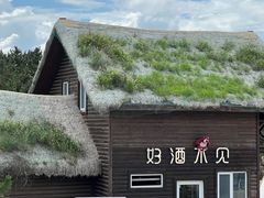 -养马岛旅游度假区