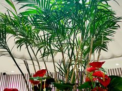 -LANN I 蘭 SPA(陆家嘴中心店)