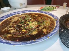 -新概念来凤鱼(璧山店)