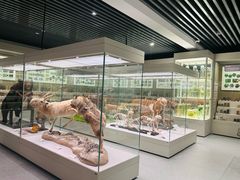 -北京中医药大学-中医药博物馆