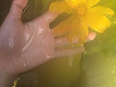 -森波拉火山温泉