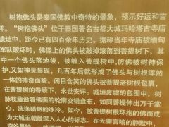 -西安大唐西市博物馆