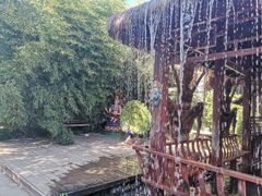 -呀路古热带植物园