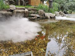 -禧宴Joyous Restaurant(禧园店)