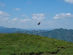 -灵山