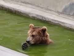 -保定市动物园