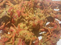 -京悦南门涮羊肉·羊蝎子火锅(田林路店)