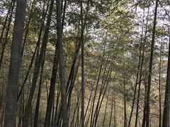 -藏龙百瀑风景区