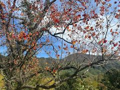-塔川景区