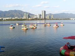 -飞来湖湿地公园