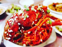 -古田会·肥肠鸡(古田店)