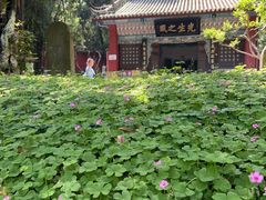 -武侯墓风景区