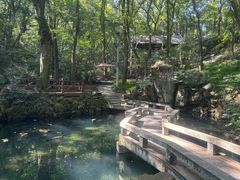 -句容茅山景区