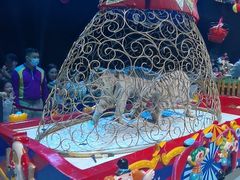 -广州长隆国际大马戏