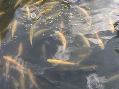 -本溪水洞