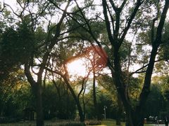 -晓港公园