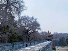 -北陵公园