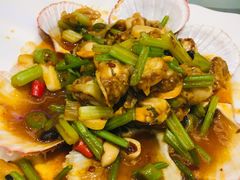 香辣小扇贝-双井轩(双井店)