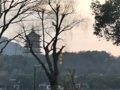 -杭州西湖柳莺里酒店·闻莺厅