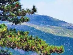 -妙峰山风景名胜区