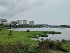 -立新湖公园