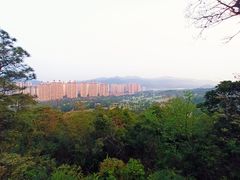 -罗三妹山