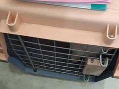-谐和益家动物医院·免疫绝育·血液透析·宠保定点医院(高新伊藤分院)