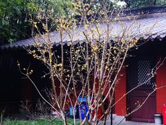 -钱王祠