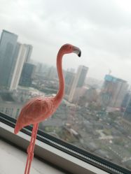 -汐月Health纤体spa中心