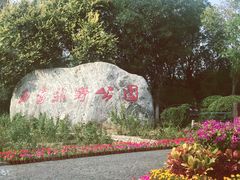 -西青郊野公园