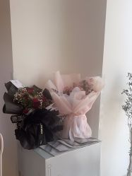 -WENDY·温迪皮肤管理