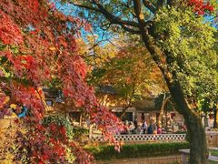 -青岛崂山太清宫