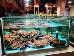 水产区-旺顺阁海鲜广场(亚运村店)