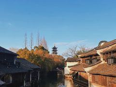 -乌镇西栅景区