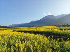 -三圣花乡旅游区