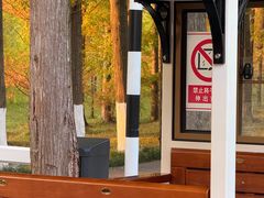 -黄海国家森林公园