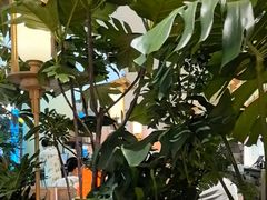 -桂满陇·手作小笼包&江南叫花鸡(中山公园店)
