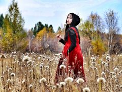 -塞罕坝国家级自然保护区