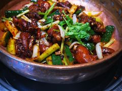 -蓉客成都火锅·招牌麻辣牛杂·特色香辣蹄花(凌水店)