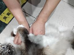 -剧狐剧本杀·月球探案馆(人民广场1号店)