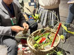 -恩阳古镇