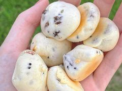 -虎头局·渣打饼行(蔡锷南路店)