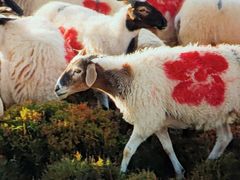 -中影荟星激光影城(西丽店)