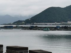 -花岙岛